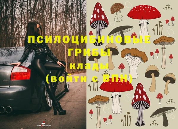 spice Белокуриха